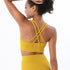 Vibrance Cross-Back Sports Bra Stylish & Supportive Activewear